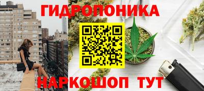 дживик Обь